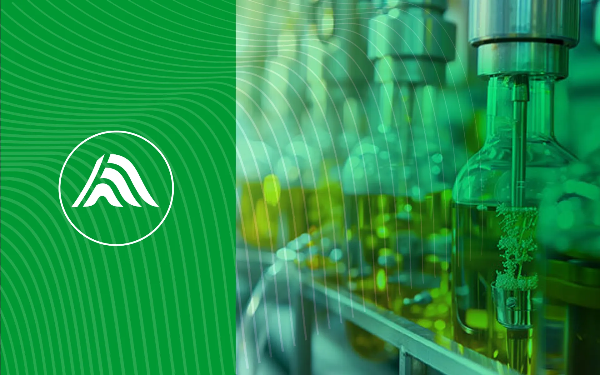 View of the Peaxact logo and the associated visual world in mood board style – as part of the Rebranding of S-PACT