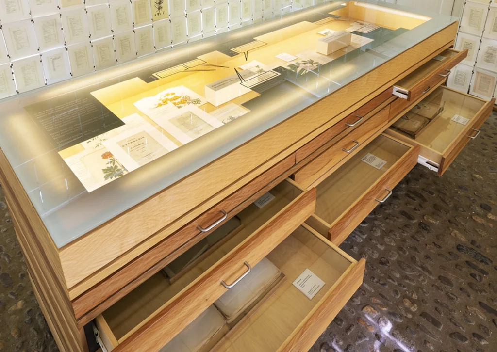 Vitrine der Dauerausstellung für die Stiftung Schloss Dyck, Jüchen zum Thema Klassifizierung der botanischen Pflanzen
